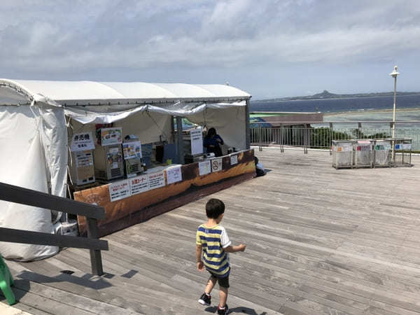 【沖縄美ら海水族館】のチケットは買わなくてOK！イルカショーはなぜ無料？