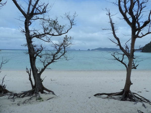 沖縄/慶良間諸島「座間味島」の見どころスポット！