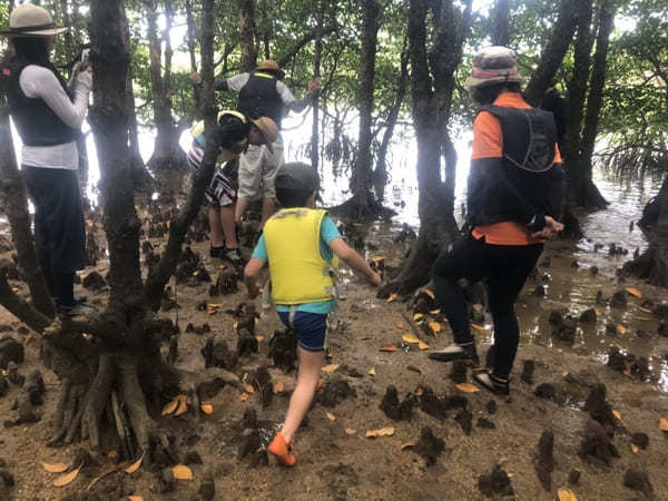  【やまんぐぅ〜】のカヤックツアーで「宮良川のヒルギ林」を冒険！（石垣島）