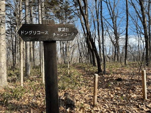 【北海道・十勝】気軽に山歩きが楽しめる！国見山の全6コースを紹介30.jpg