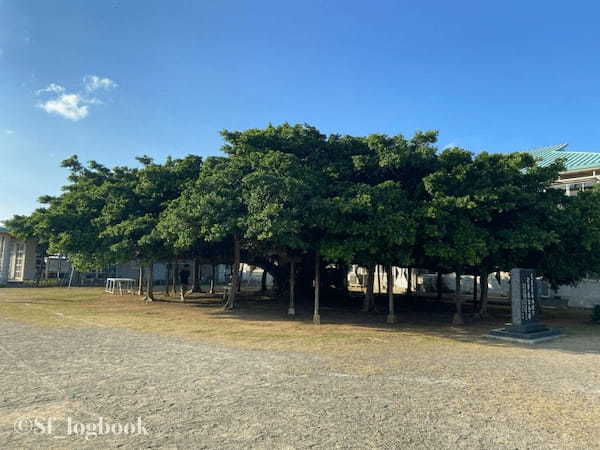 【鹿児島】大河ドラマ『西郷どん』ロケ地！沖永良部島の観光スポットをご紹介！1.jpg