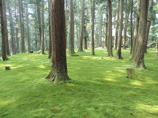 福井県でおすすめの神社9社