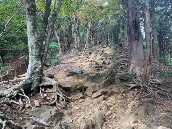 都内からの日帰り登山にも！ケーブルカー無しで楽しむ大山登山のベストコース【神奈川】