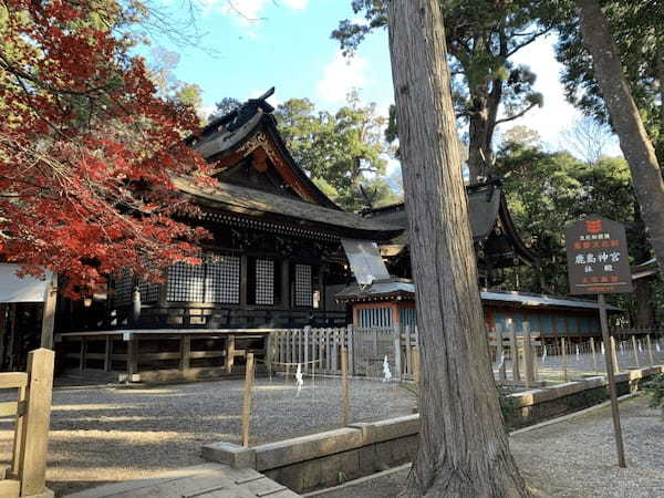 【茨城／鹿行地域】鹿嶋市・鉾田市で楽しむ絶景＆グルメ旅！1.png