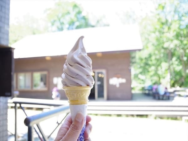 【群馬県】美しい尾瀬の湿原とイチオシのお土産・スイーツ