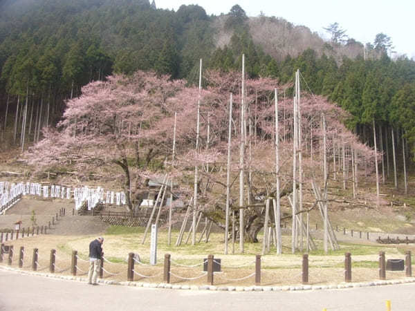 岐阜県美濃エリアでほっと温まる❗観光と合わせ楽しめる日帰り温泉❗