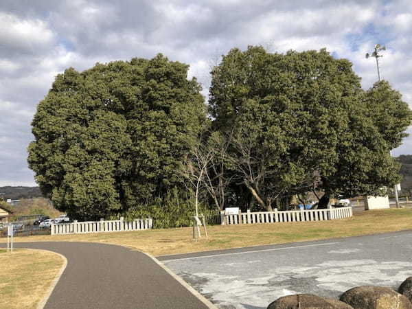 浅野館跡地の「笠神公園」で大人から子供まで楽しく遊ぼう！【土岐市（岐阜）】1.jpg