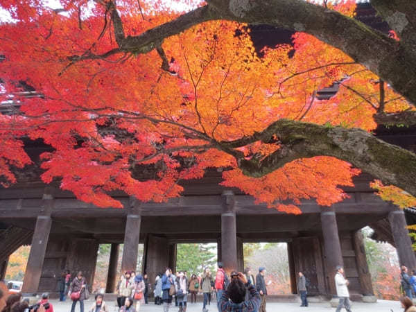 【京都】圧巻の「南禅寺」の紅葉と静寂の庭「無鄰菴」