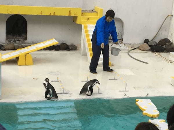 【北海道】圧巻のトドショー！大自然に囲まれたおたる水族館で海獣に会おう！