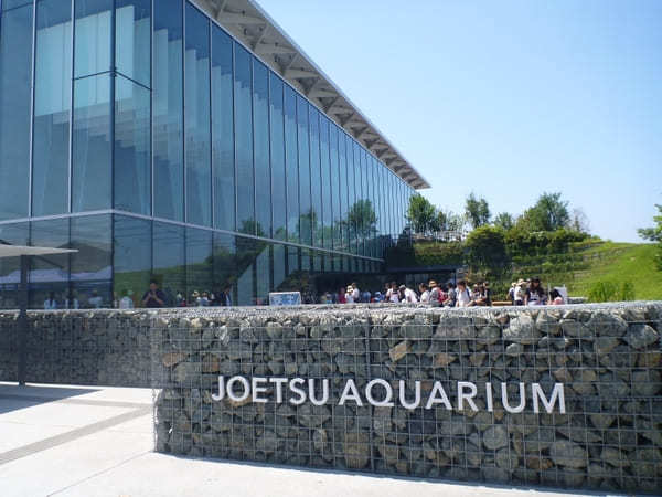 新潟の人気水族館TOP5！県内の水族館・展示施設ランキング