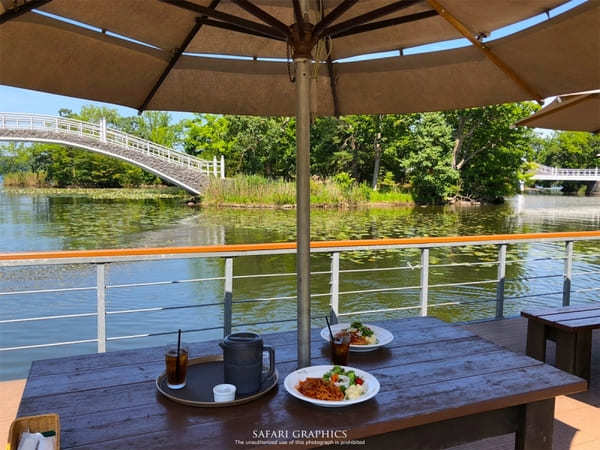 【北海道】大沼の美食と絶景を満喫！湖上テラスで優雅なクルーズランチ