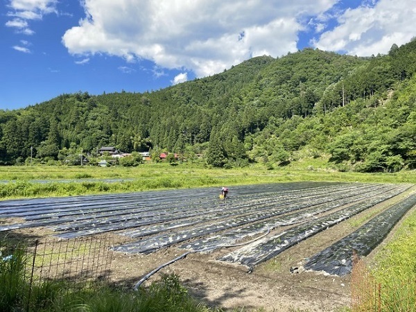 熟成蜜焼き芋と蜜芋スイーツのお店「京都芋屋 芋と野菜」が四条河原町にオープン！