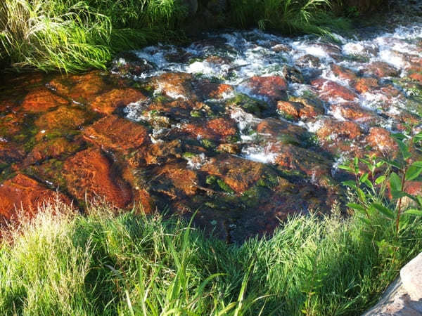 一度は見たい！息をのむ絶景！【長野・御射鹿池】