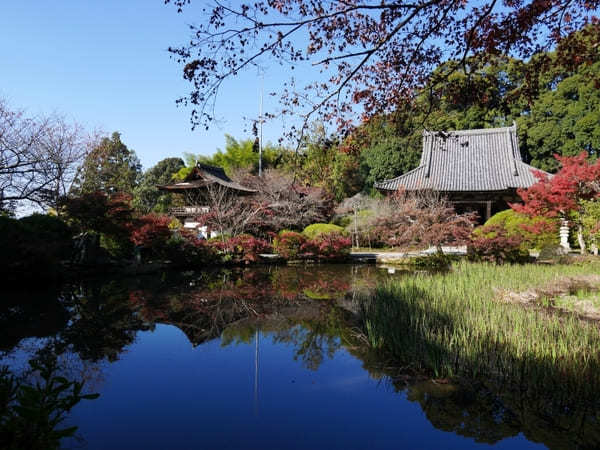 【奈良】紅葉が美しい長岳寺と周辺を散策！ランチのお店も紹介