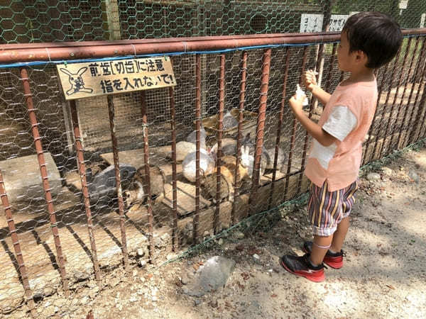 無料でBBQに水遊び！動物とも触れ合える【陶史の森】（岐阜県土岐市）