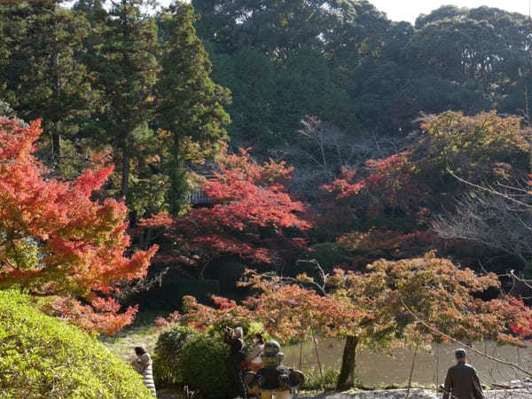 【奈良】紅葉が美しい長岳寺と周辺を散策！ランチのお店も紹介