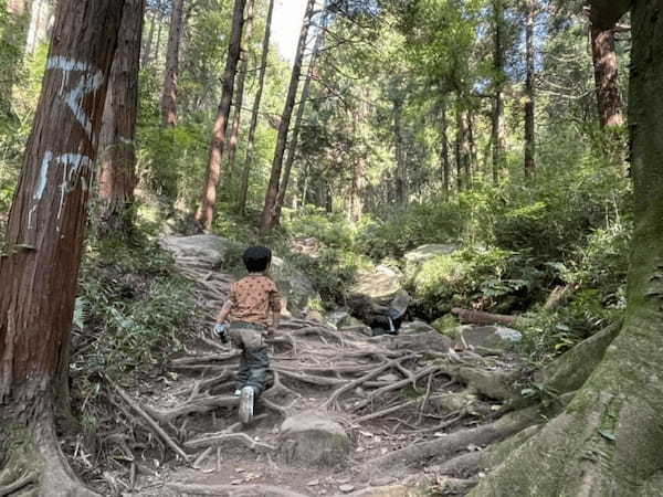 都内から日帰りOK！登山初心者にもオススメな絶景の宝篋山へ【茨城】1.jpg