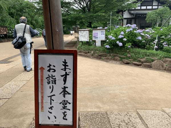 5万本の紫陽花と6千本の花菖蒲！千葉県のあじさい寺【本土寺】へ行こう1.jpg