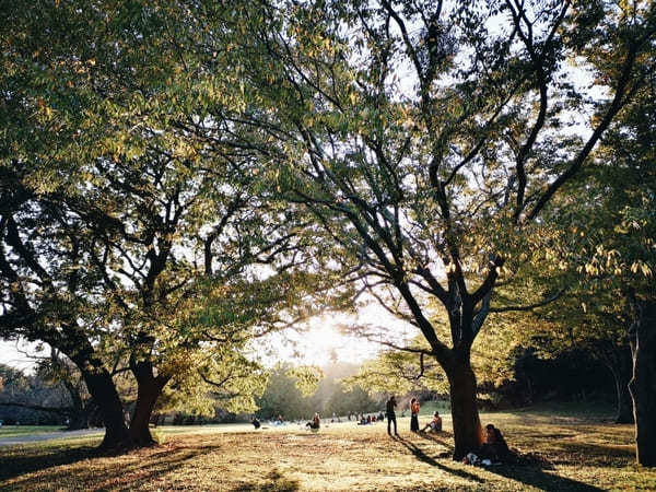 【東京】週末はアウトドアを楽しもう！子連れにおすすめの大型公園10選