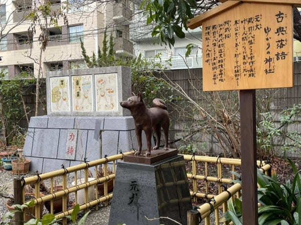 6.jpeg早春の都内で一番美しい神社？ミモザと早咲き桜が彩る蔵前神社へ【台東区】