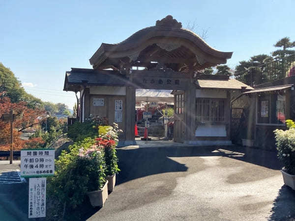 【群馬県】渓谷美と菊で有名な「ながめ公園」と周辺オススメ散策スポット