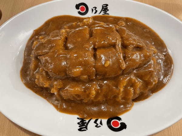 大森の絶品カレー13選！食べ放題の人気店やインドカレーの名店も！