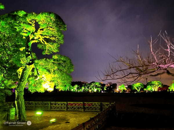 夜の梅園が光のアートに！【茨城】「チームラボ 偕楽園 光の祭」完全ガイド1.jpg