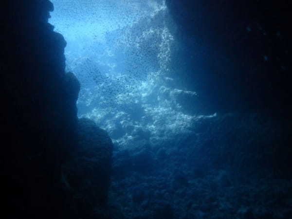 【沖縄】朝一訪問がおすすめ！青の洞窟で海の世界を堪能しよう