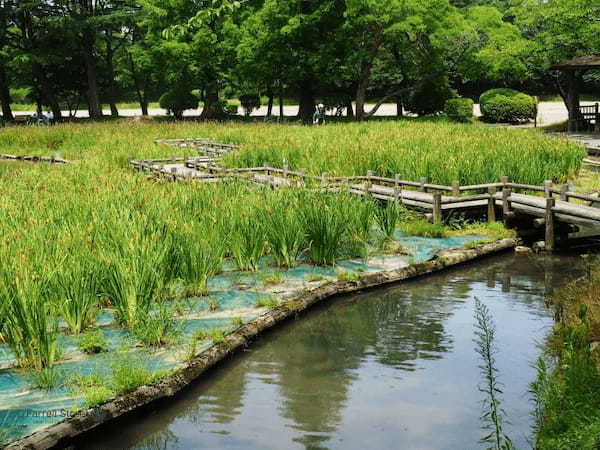 【山形・鶴岡】歩いてめぐる城下町お勧め一日観光1.jpg