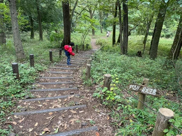 子供と一緒にお散歩気分で巡れる！3つの山を有する「都立浅間山公園」へ【府中市】