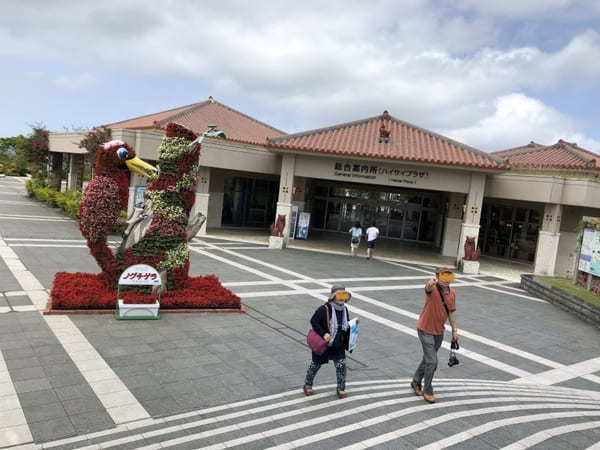 【沖縄美ら海水族館】のチケットは買わなくてOK！イルカショーはなぜ無料？