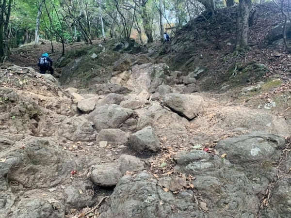 都内からの日帰り登山にも！ケーブルカー無しで楽しむ大山登山のベストコース【神奈川】