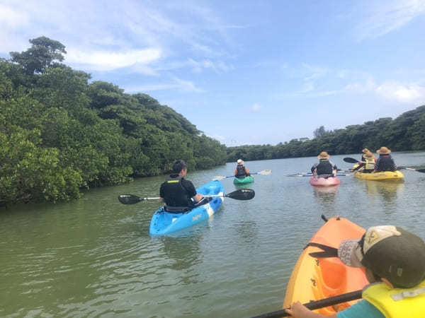  【やまんぐぅ〜】のカヤックツアーで「宮良川のヒルギ林」を冒険！（石垣島）