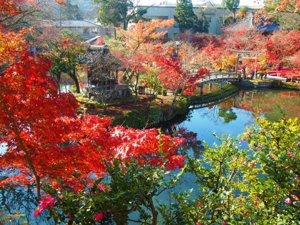 京都でおすすめの寺・神社49選！観光客に人気＆世界遺産の寺社リスト