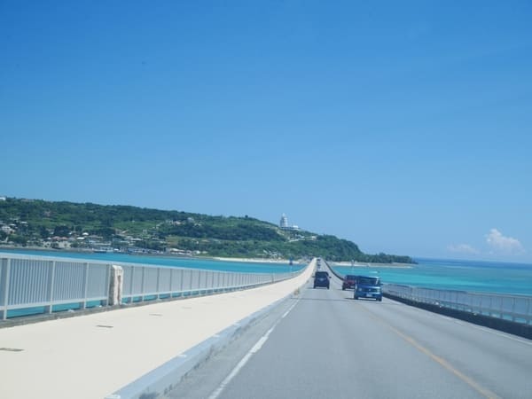 【沖縄北部・古宇利島】海鮮丼やウニ丼がオススメ。新鮮な海の幸を堪能！「しらさ食堂」