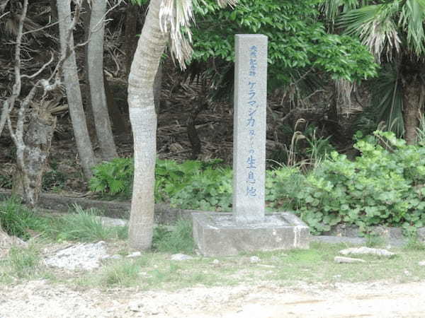 沖縄:慶良間諸島「阿嘉島・慶留間島・外地島」の見どころスポット！1.jpg