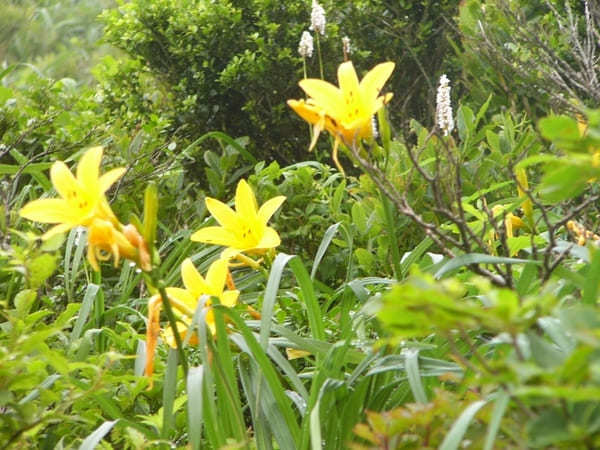 岐阜県美濃エリアでほっと温まる❗観光と合わせ楽しめる日帰り温泉❗