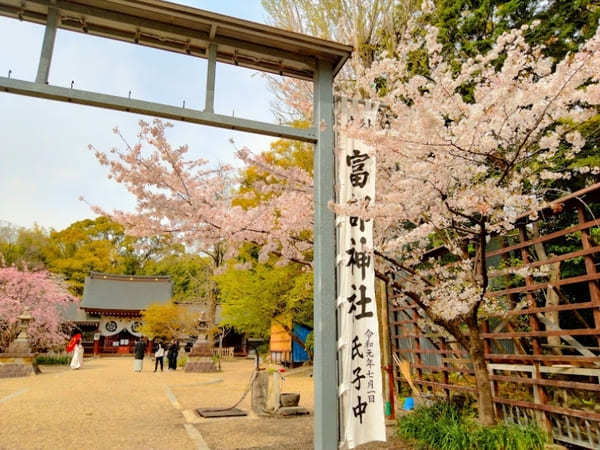 毎月御朱印が変わる！カエルが守る【名古屋 富部神社】