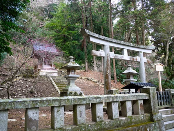 【香川】体力勝負！金刀比羅宮の絶景と奥社限定の「天狗守り」を手に入れよう