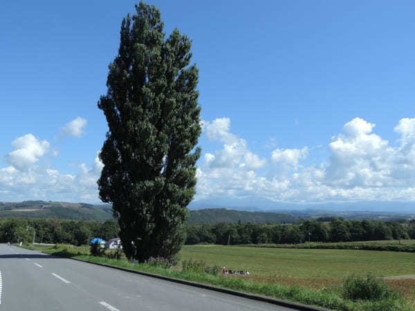 絶景が広がる 北海道 / 美瑛の丘めぐり！