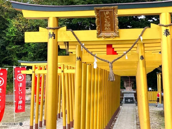 合格祈願から映えスポットまで！茨城の神社11選