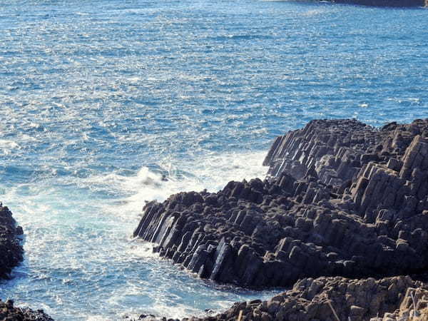 青い海と灯台と水仙のある景勝地！静岡県・下田の【爪木崎】1.jpg