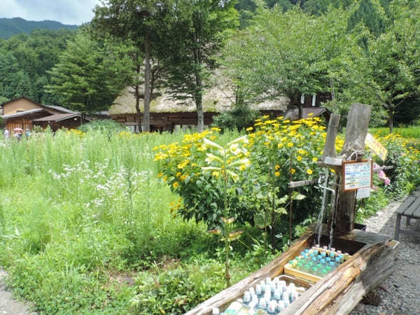 世界遺産の町、岐阜県白川村に出掛けてみよう！