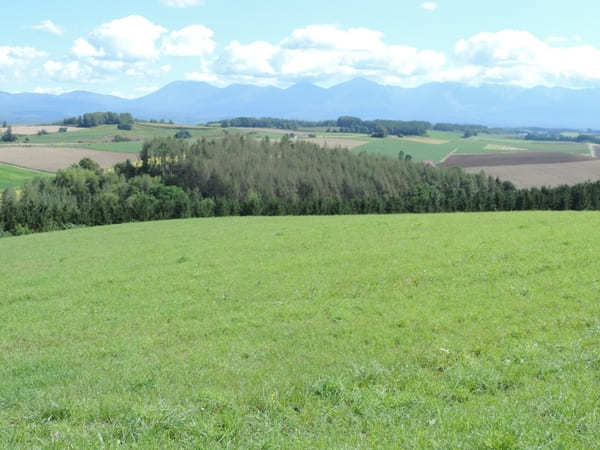 絶景が広がる 北海道 / 美瑛の丘めぐり！