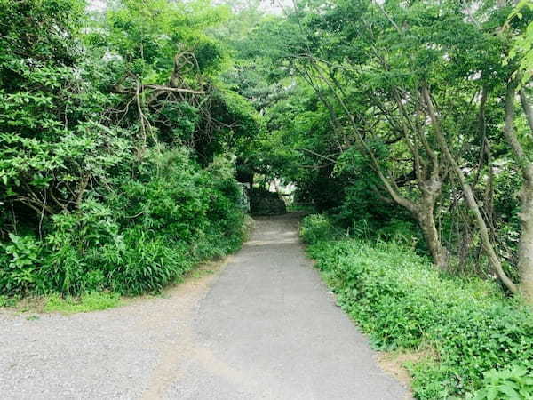 【逗子】大崎公園の魅力を地元ライターが写真付きで紹介～のどかな自然が魅力～1.jpg