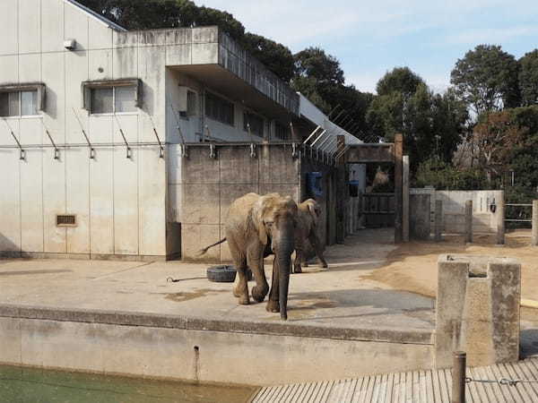 【愛媛】とべ動物園と四国最大級ジップラインで家族皆でマルっと楽しもう！1.jpg