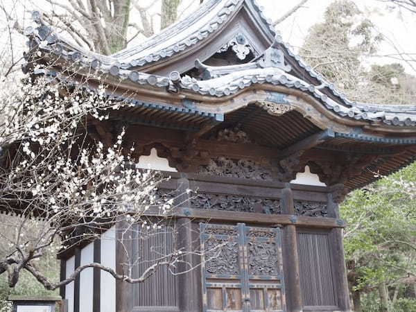 庭園に漂う梅のかほり【横浜・三渓園】の観梅会で春を感じよう1.jpg