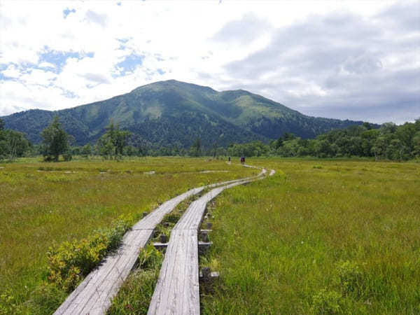 【群馬県】美しい尾瀬の湿原とイチオシのお土産・スイーツ