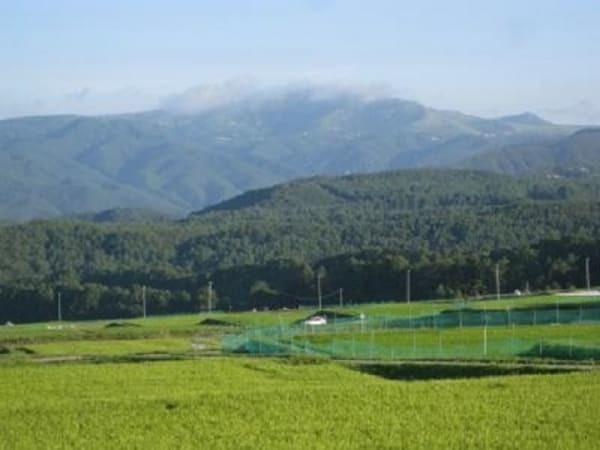 一度は見たい！息をのむ絶景！【長野・御射鹿池】