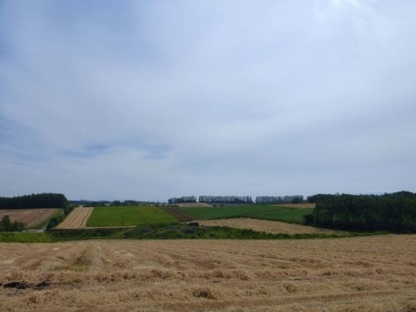 【北海道】美瑛だけじゃない！道東で感じる丘の絶景